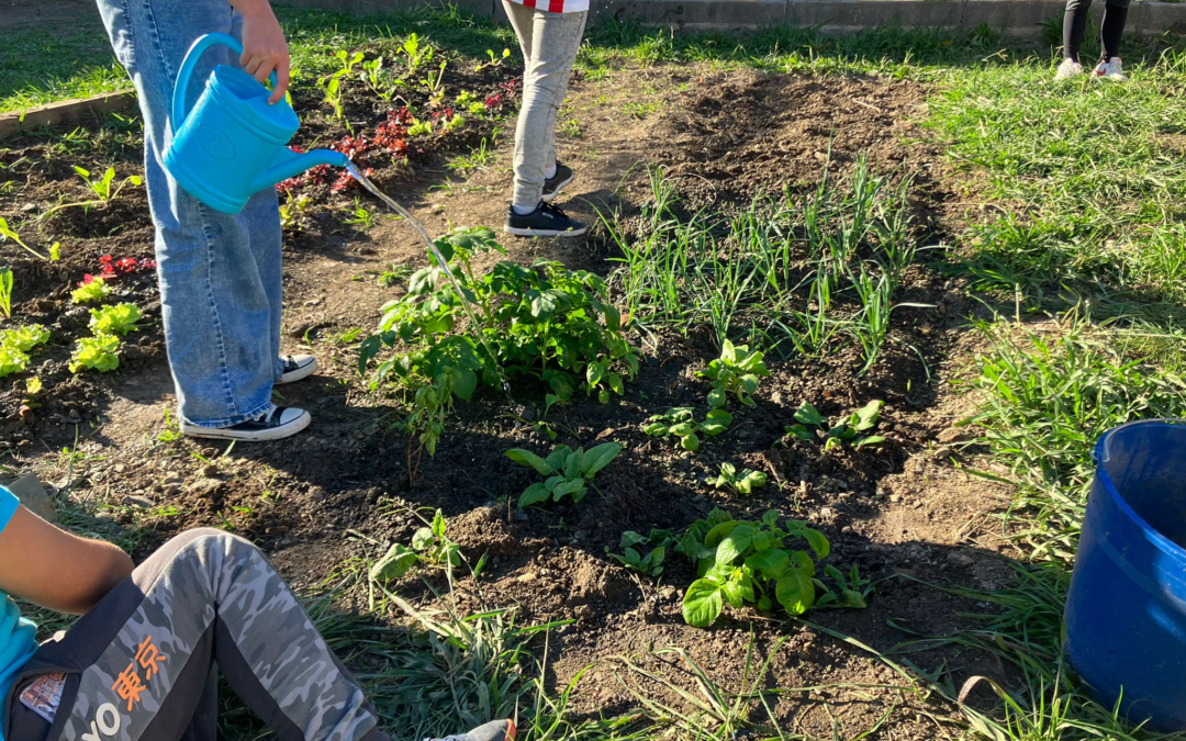 Garden visits